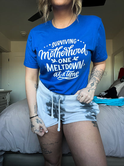 Surviving Motherhood; One Meltdown at a Time Tee