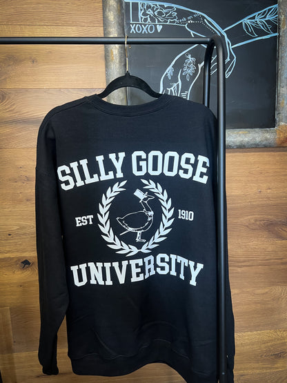 Silly Goose University