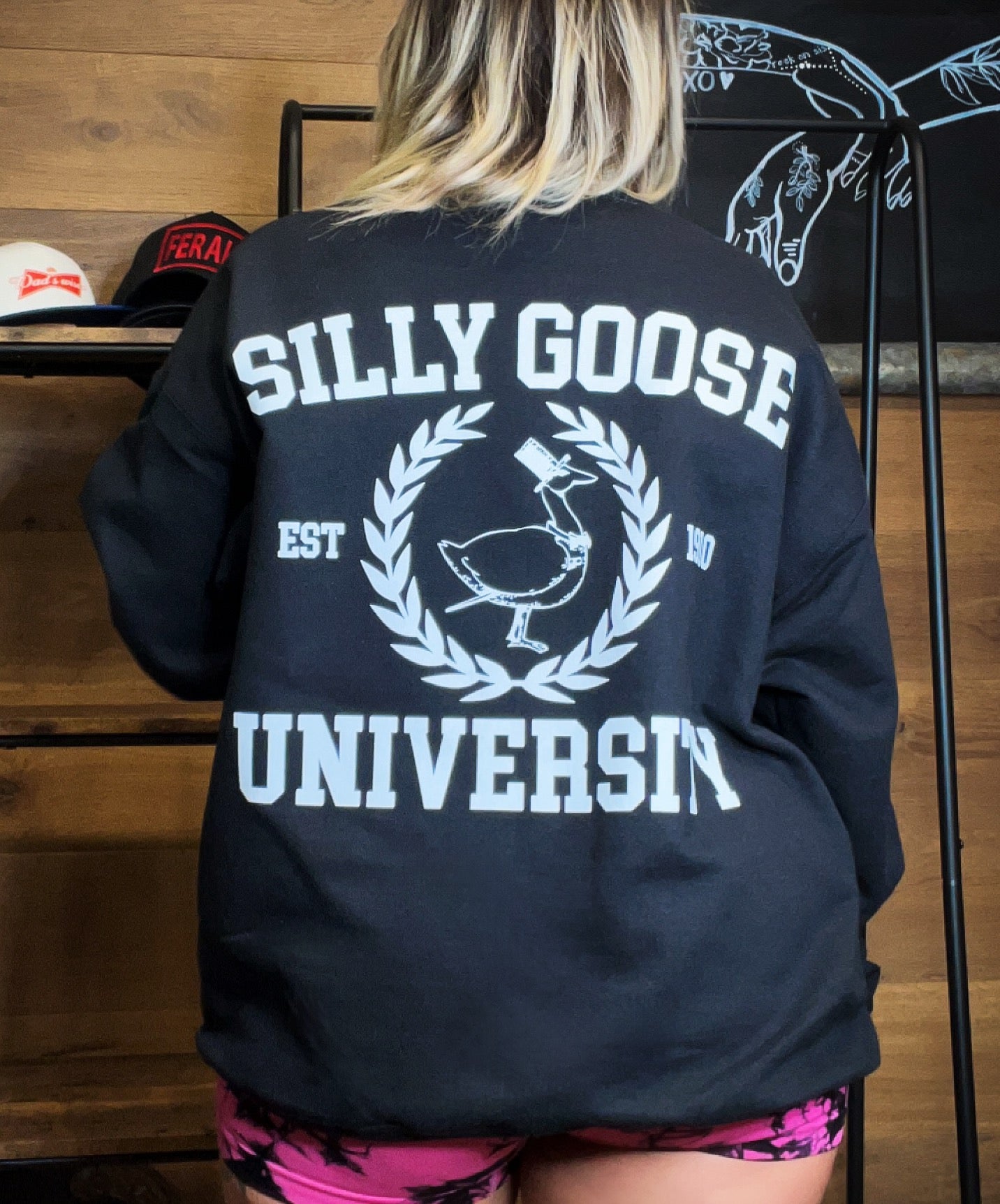 Silly Goose University