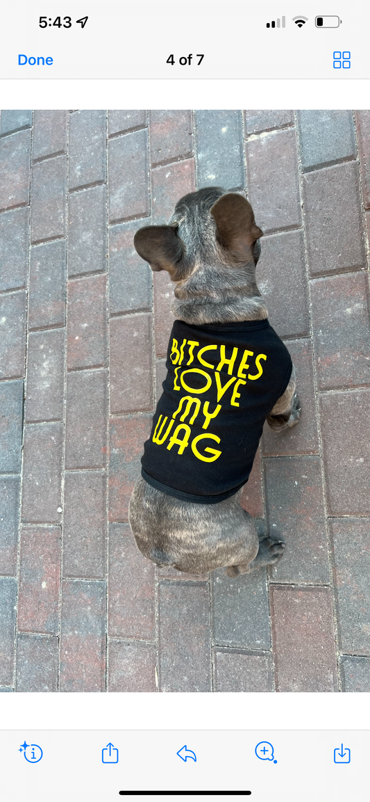 Bitches Love my Wag