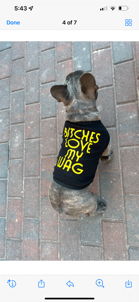 Bitches Love my Wag